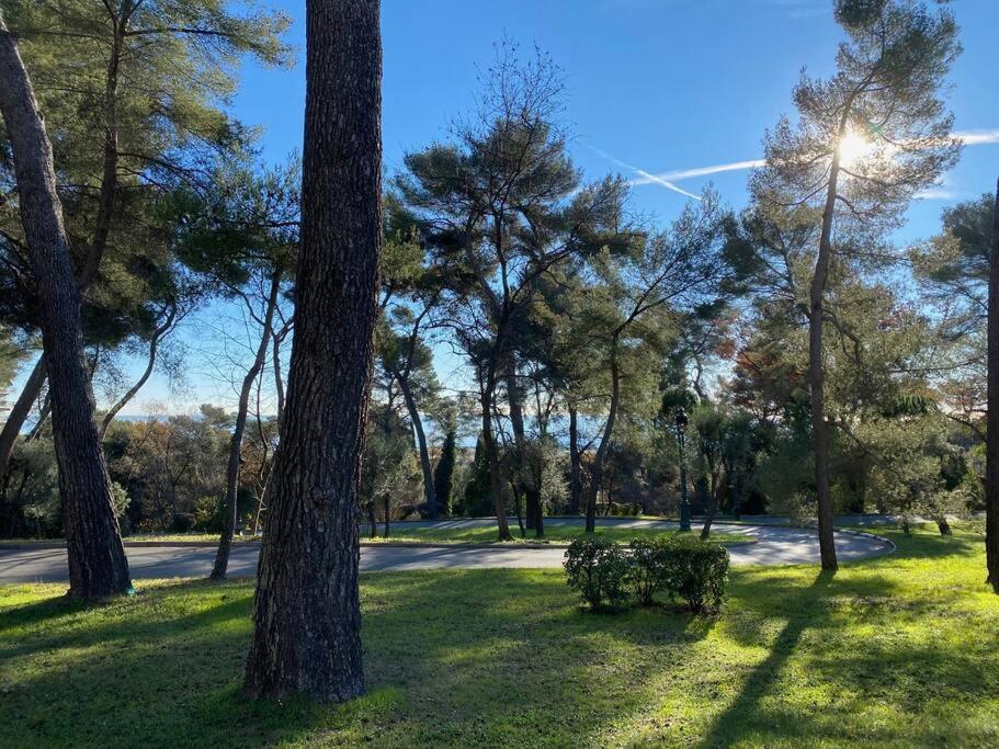 2-Room 60 M², Panoramic View, 2 Balconies, 50M Pool Cagnes-sur-Mer Ngoại thất bức ảnh
